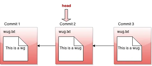 回退后的 HEAD 指针